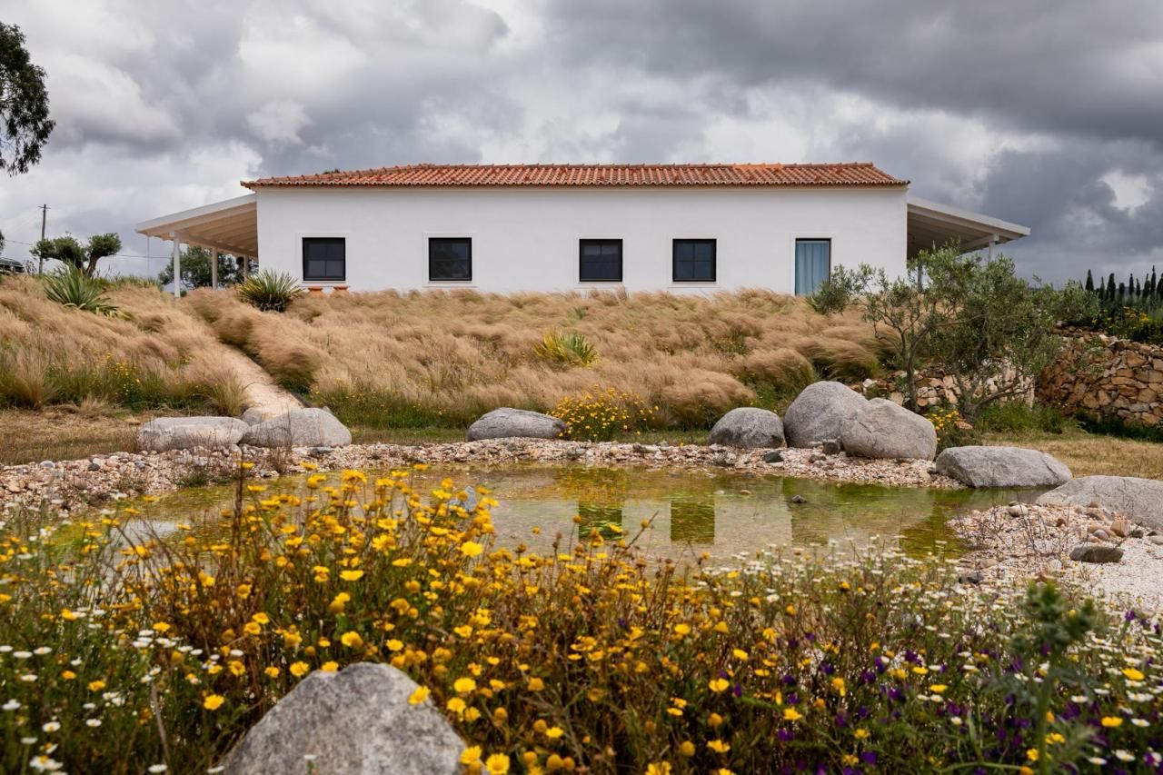 Casa branca acima de um prado de flores silvestres e um lago