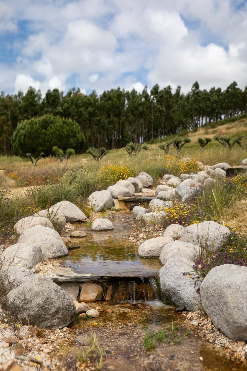 Ribeiro ladeado de pedras num jardim de prado